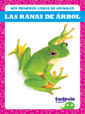 cover image of Las ranas de árbol (Tree Frogs)